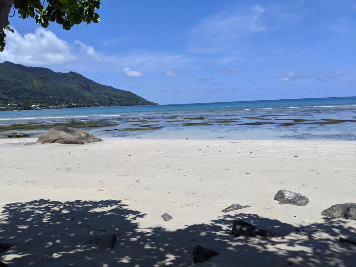 Hotel The Beach House à Beau Vallon  Extérieur photo